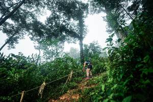 BIB: 
                            <button type="button" onclick="openModal(26203016)" class="btn btn-primary btn-sm float-right btn-popup" data-toggle="modal" data-target=".modal-high-quality">
                        <i class="fas fa-shopping-cart"></i> Add to Cart
                    </button>
                                            <button type="button" onclick="isThisMe(26203016, true)" class="btn btn-success btn-sm float-right btn-popup btn-isme hidden" data-toggle="tooltip" data-placement="bottom" title="นี่คือรูปของคุณใช่ไหม คลิกที่นี่เพื่อเอาเข้าอัลบั้ม">
                        <i class="fas fa-plus"></i> Add to album
                    </button>
                    <button type="button" onclick="isThisMe(26203016, false)" class="btn btn-warning btn-sm float-right btn-popup btn-isnotme hidden">
                        <i class="fas fa-ban"></i> Remove from album
                    </button>